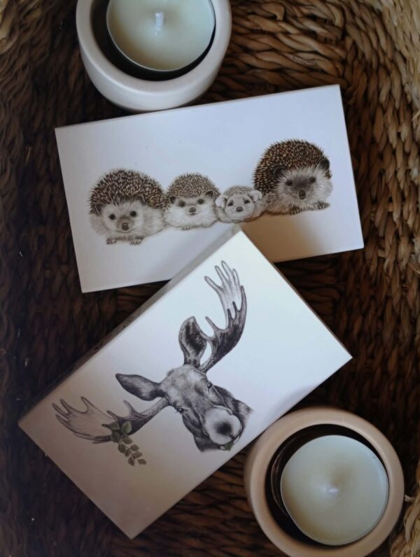 Boîte d'allumettes illustrée avec une famille d'hérissons et une autre avec un élan, style nature et poétique par Charlotte Nicolin