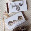 Boîte d'allumettes extra longues Kluani avec illustration animalière de Charlotte Nicolin.