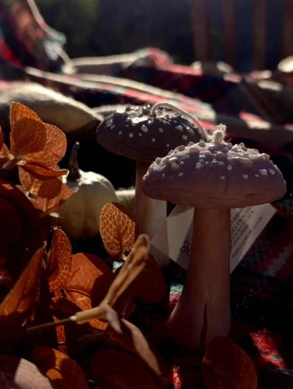 Crée par Kluani en Alsace, champignon en décoration pour l'automne